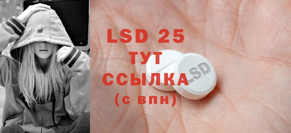 ECSTASY Белокуриха